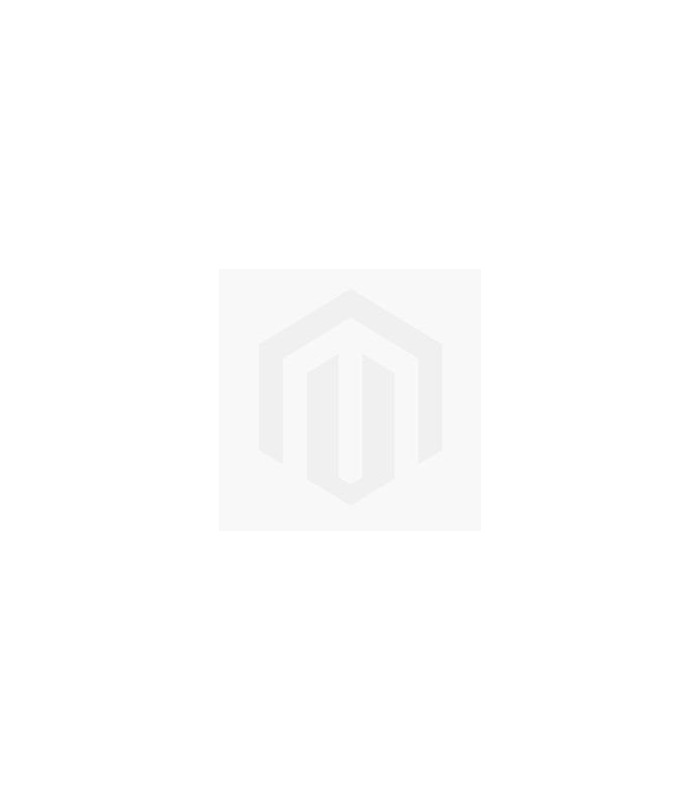 RF4 (RF4-2KC2) 2K Full HD Industrial Camera For Stereo Microscope